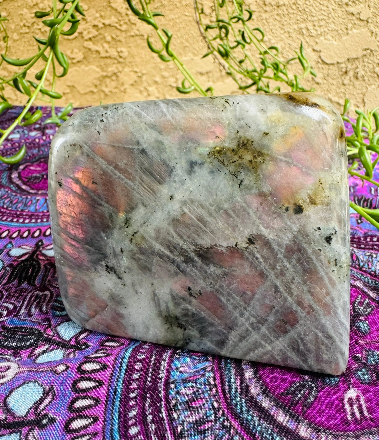 Labradorite Freeform | Purple Pink Orange Flash | Large | Polished | Crystal Decor | Healing | Gift Crystal Eyes It