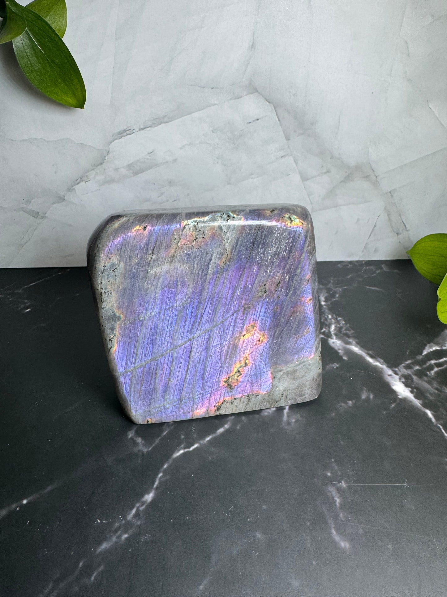 Labradorite Freeform | Purple Pink Blue Green Flash | Large | Polished | Crystal Decor | Healing | Gift Crystal Eyes It