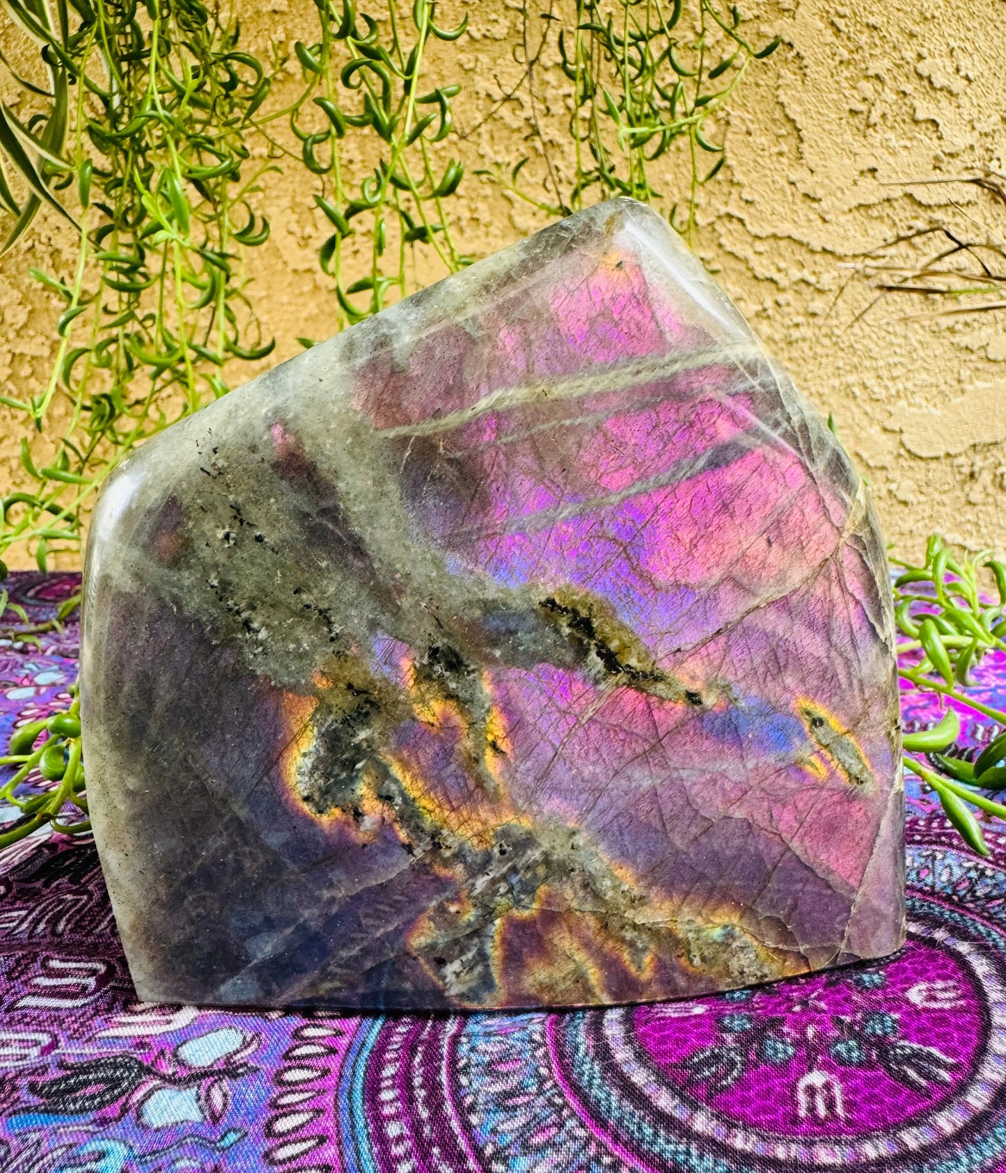 Labradorite Freeform | Purple Pink Orange Flash | Large | Polished | Crystal Decor | Healing | Gift Crystal Eyes It