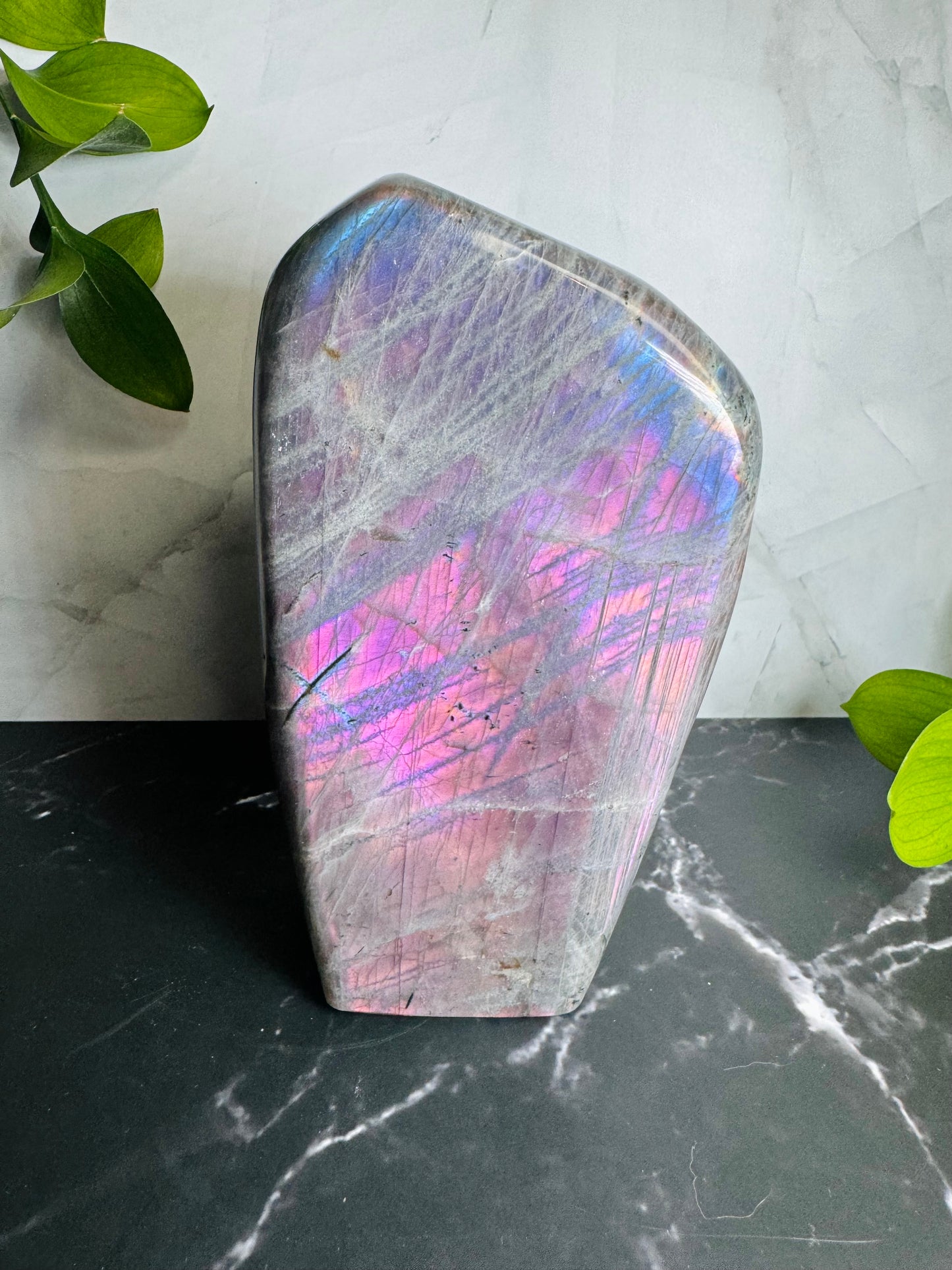 Labradorite Freeform | Purple Pink Flash | Large | Polished | Crystal Decor | Healing | Gift Crystal Eyes It