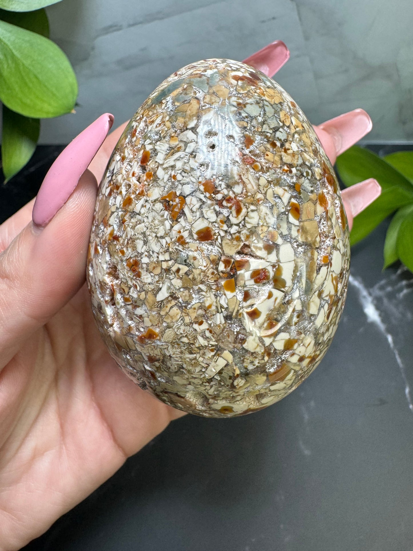 Agatized Jasper Egg 3” | Unique | Crystal Decor | Healing | Gift Crystal Eyes It