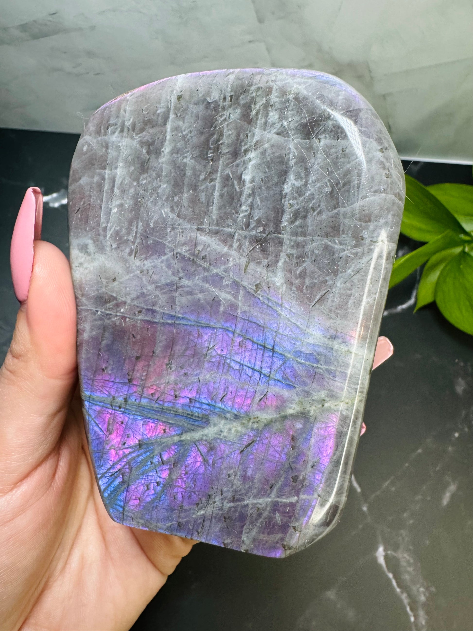 Labradorite Freeform | Purple Pink Blue Flash | Large | Polished | Crystal Decor | Healing | Gift Crystal Eyes It