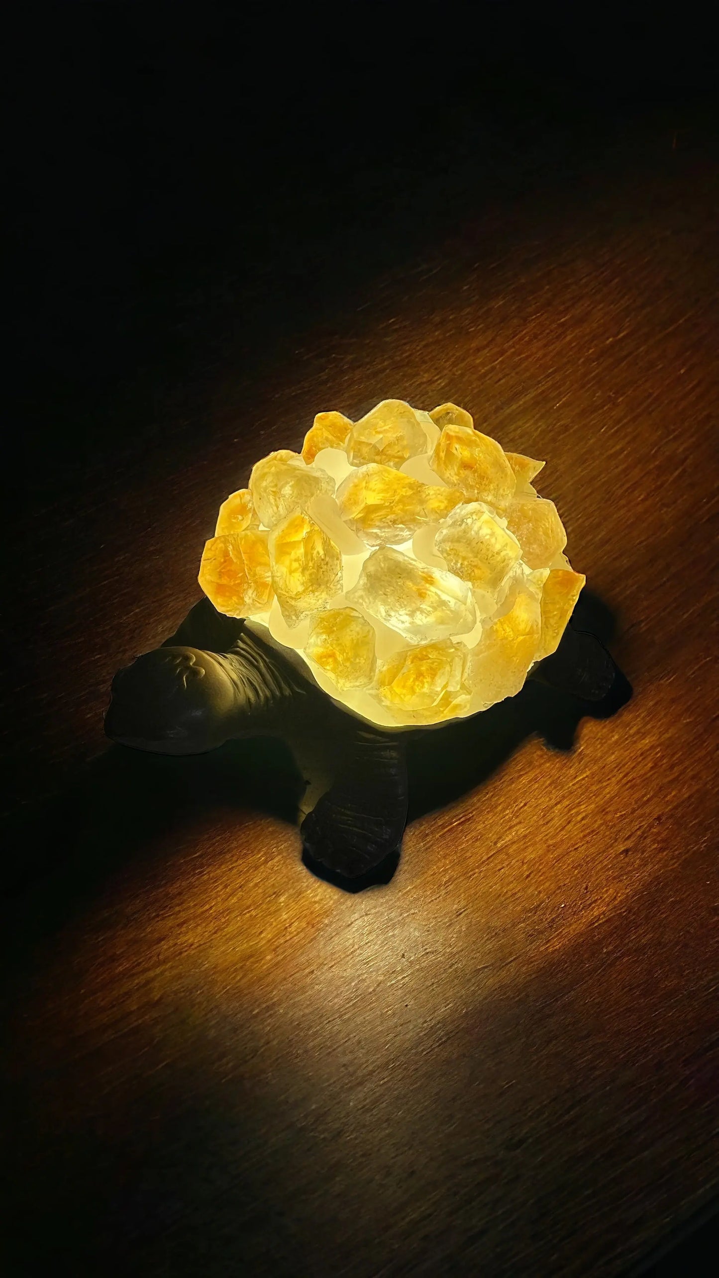 Crystal Turtle Light | Amethyst | Citrine | LED | USB | Gift Crystal Eyes It