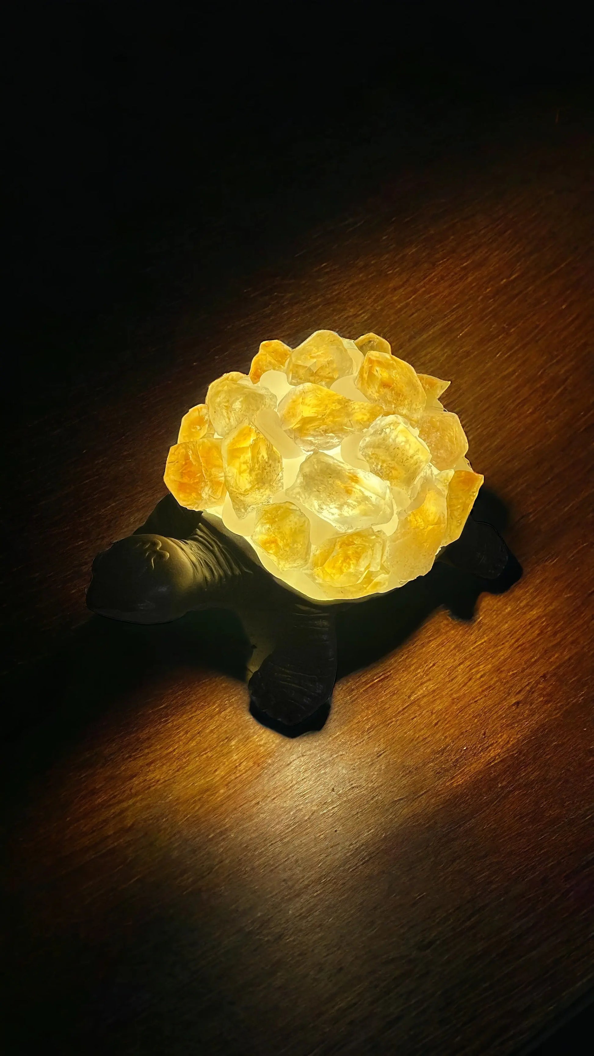 Crystal Turtle Light | Amethyst | Citrine | LED | USB | Gift Crystal Eyes It