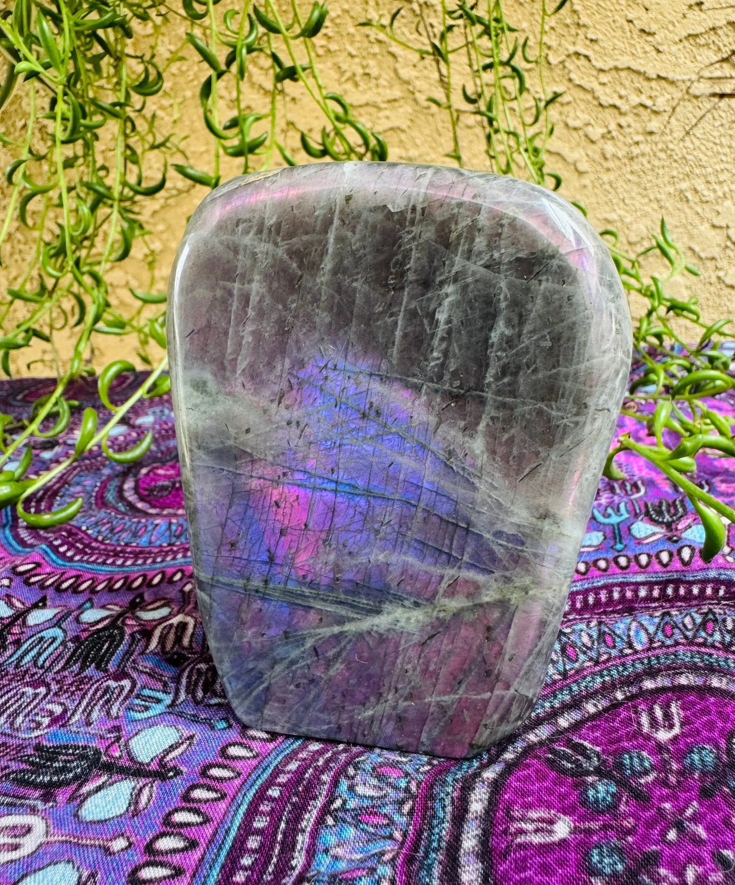 Labradorite Freeform | Purple Pink Blue Flash | Large | Polished | Crystal Decor | Healing | Gift Crystal Eyes It