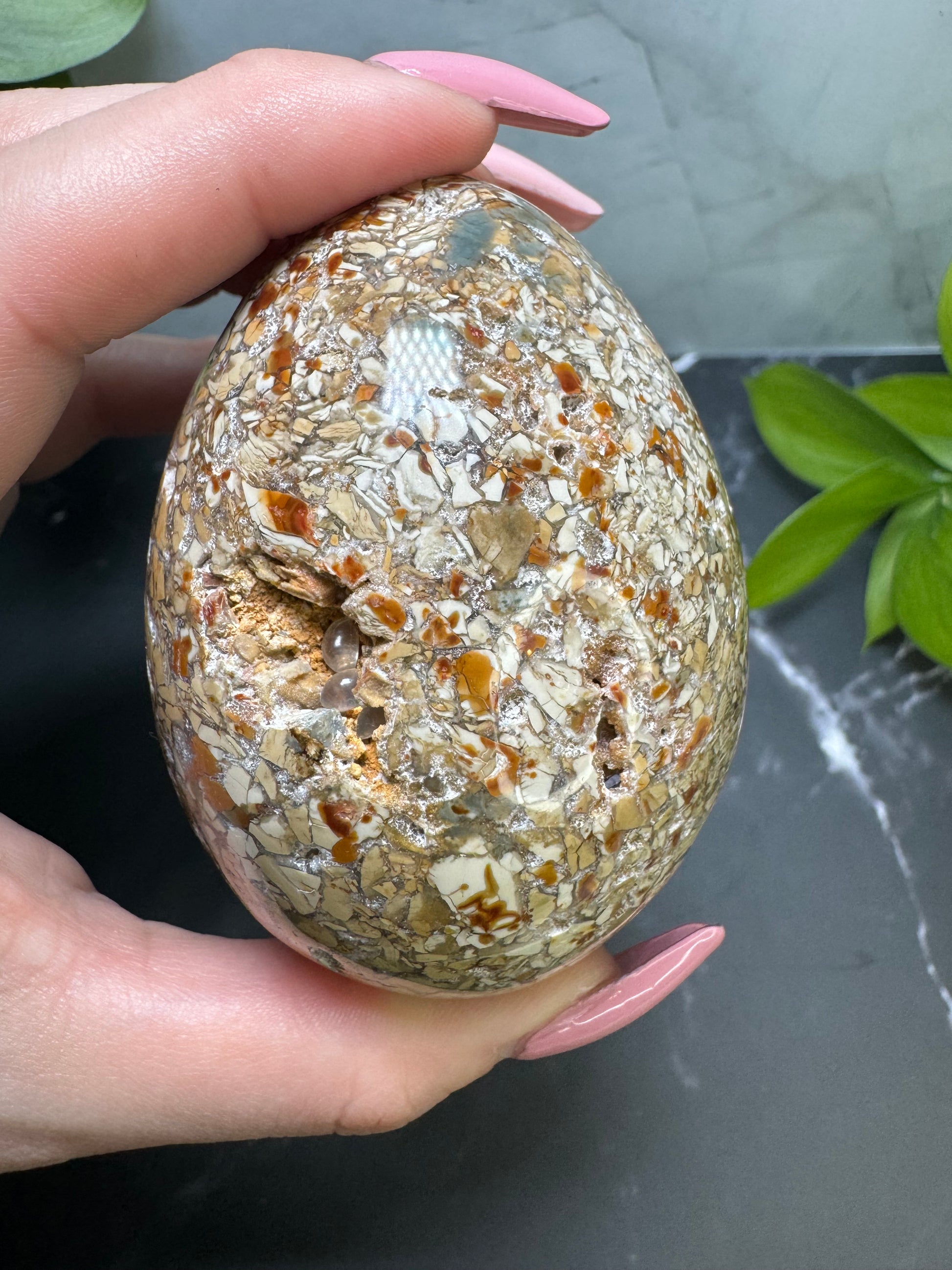 Agatized Jasper Egg 3” | Unique | Crystal Decor | Healing | Gift Crystal Eyes It