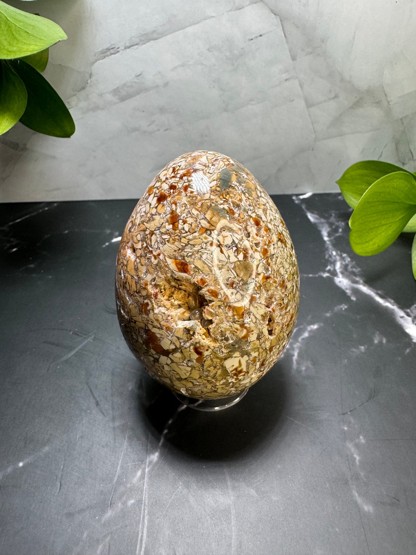 Agatized Jasper Egg 3” | Unique | Crystal Decor | Healing | Gift Crystal Eyes It
