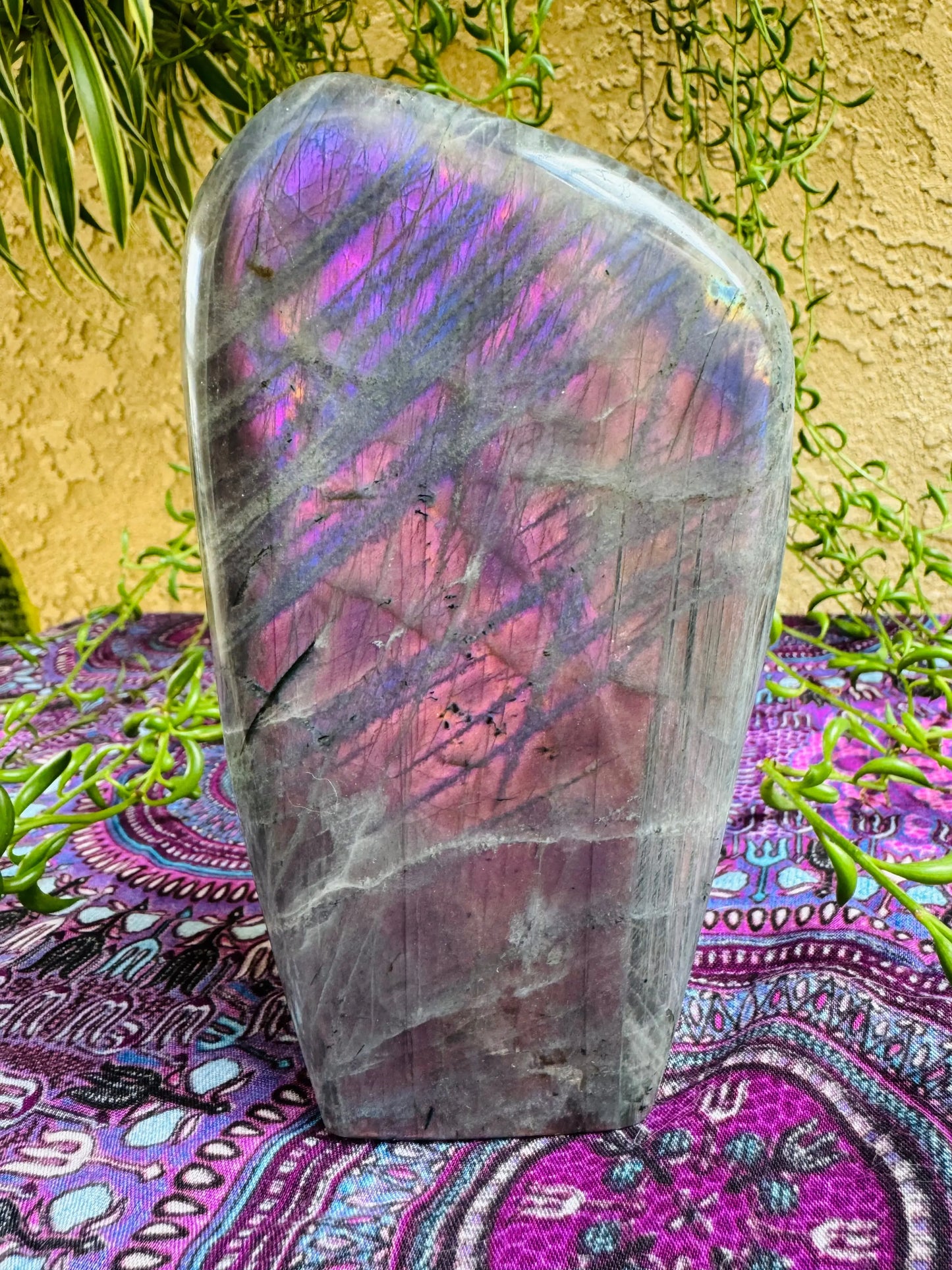 Labradorite Freeform | Purple Pink Flash | Large | Polished | Crystal Decor | Healing | Gift Crystal Eyes It