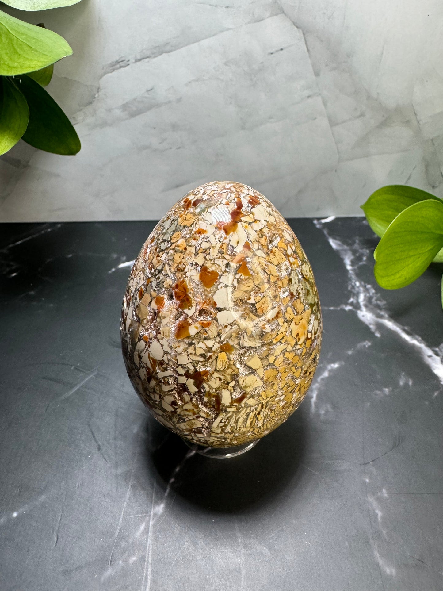 Agatized Jasper Egg 3” | Unique | Crystal Decor | Healing | Gift Crystal Eyes It