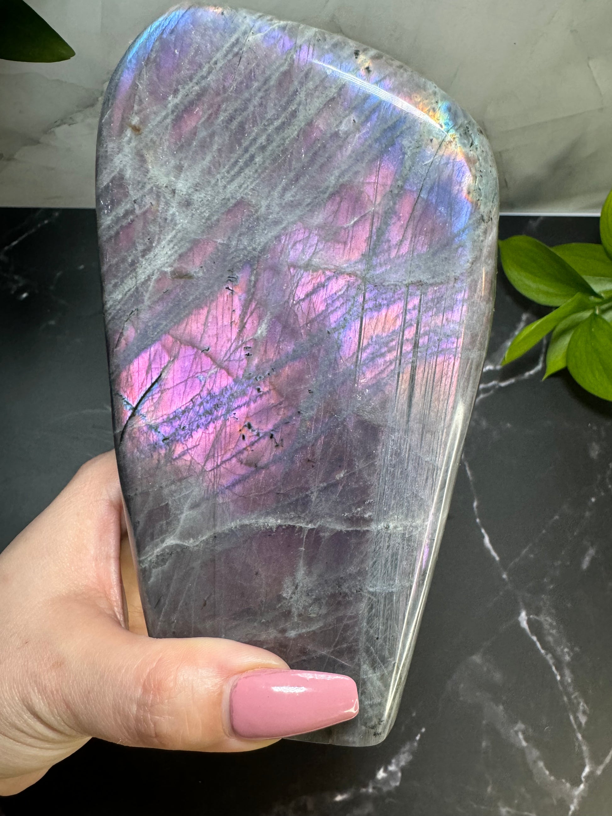 Labradorite Freeform | Purple Pink Flash | Large | Polished | Crystal Decor | Healing | Gift Crystal Eyes It