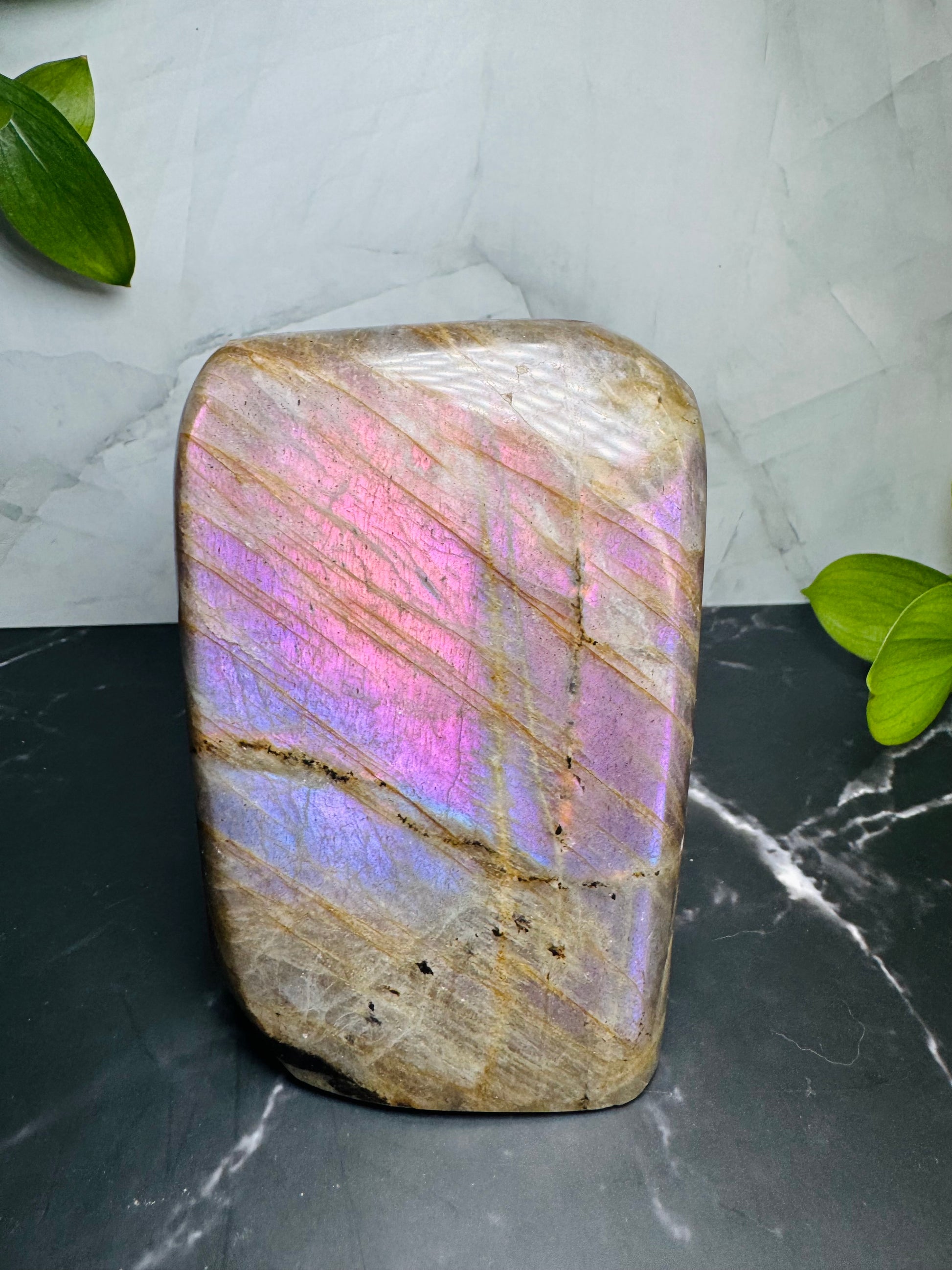 Labradorite Freeform | Purple Pink Flash | Large | Polished | Crystal Decor | Healing | Gift Crystal Eyes It