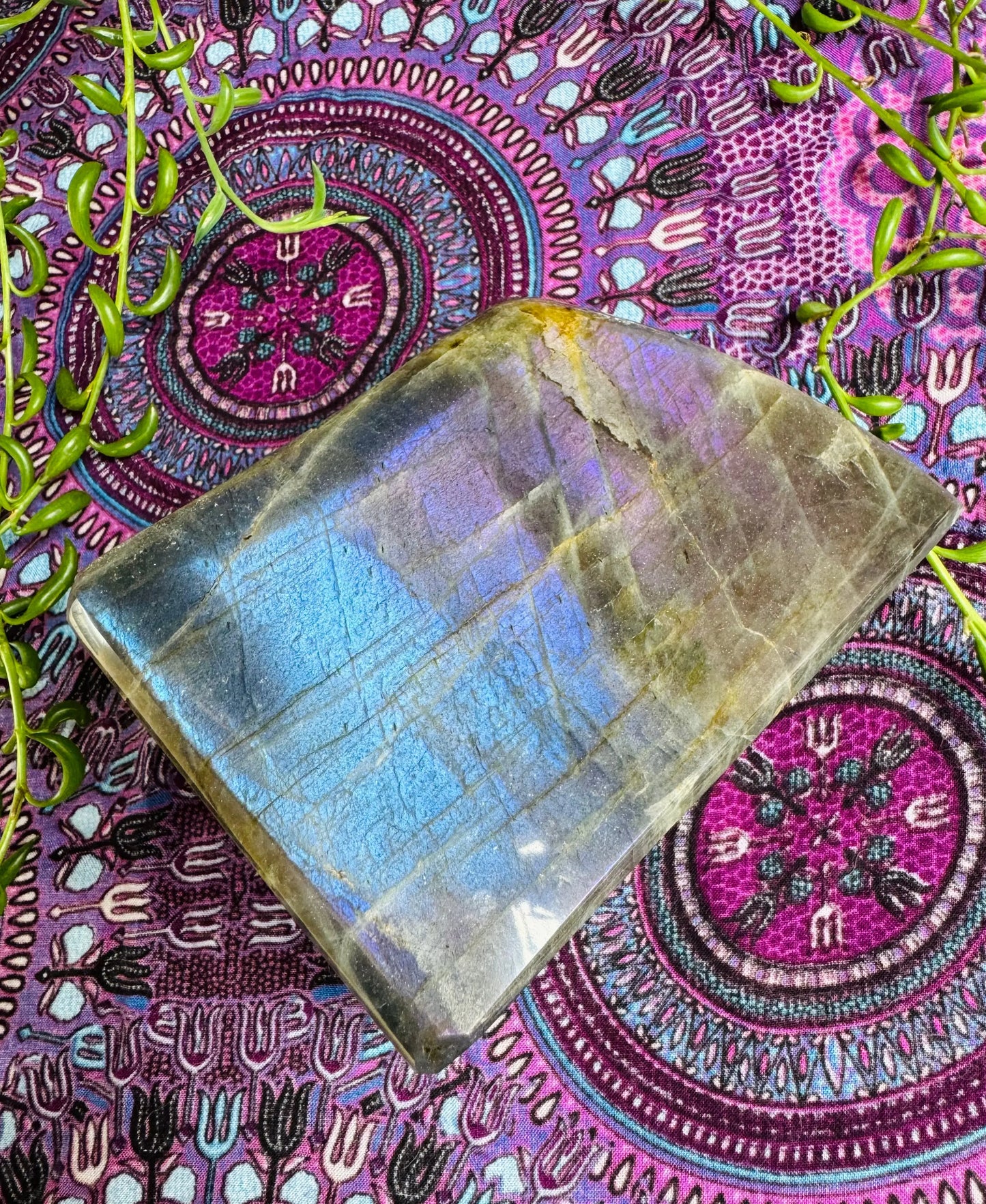 Labradorite Freeform | Purple Pink Orange Sunset Flash | Large | Polished | Crystal Decor | Healing | Gift Crystal Eyes It
