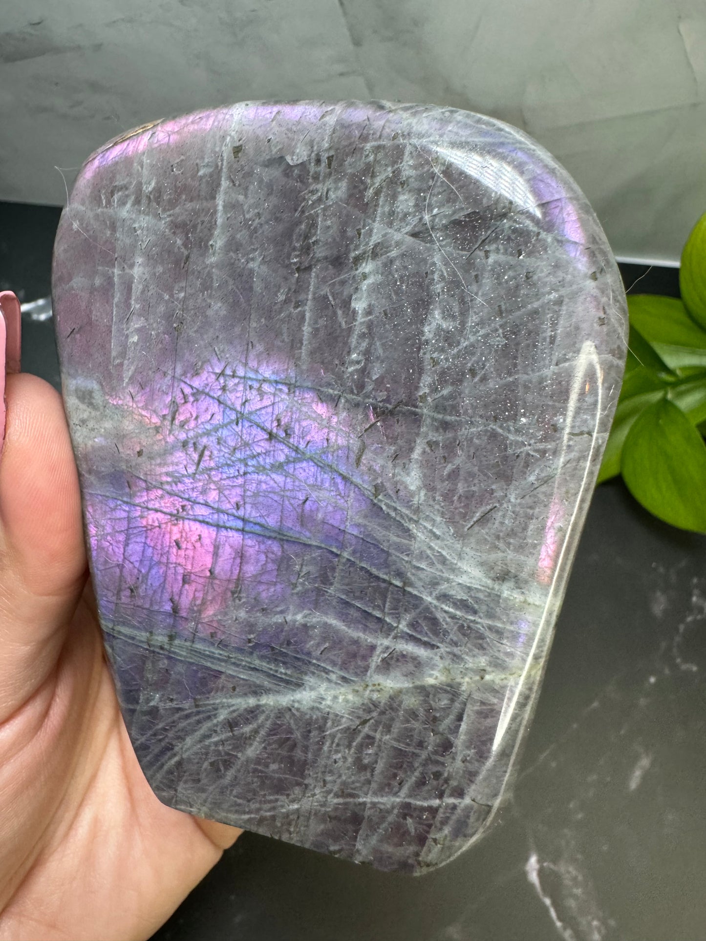 Labradorite Freeform | Purple Pink Blue Flash | Large | Polished | Crystal Decor | Healing | Gift Crystal Eyes It