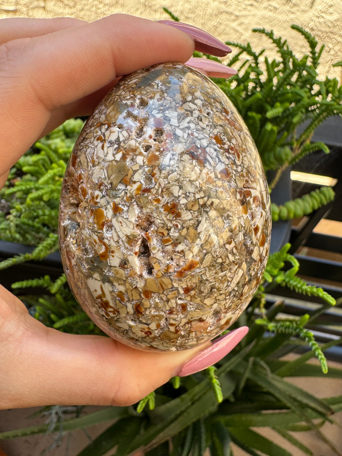 Agatized Jasper Egg 3” | Unique | Crystal Decor | Healing | Gift Crystal Eyes It