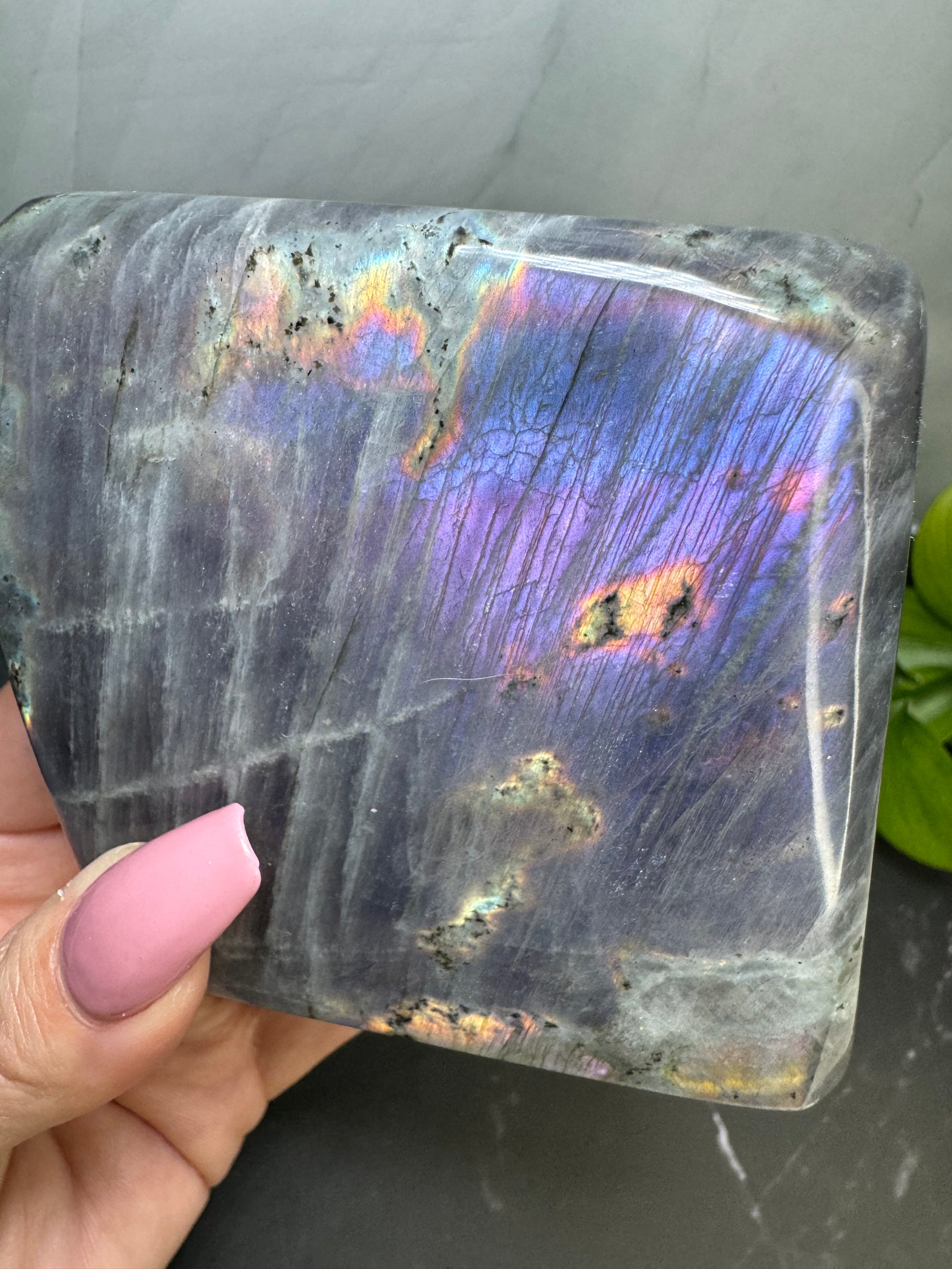 Labradorite Freeform | Purple Pink Blue Green Flash | Large | Polished | Crystal Decor | Healing | Gift Crystal Eyes It
