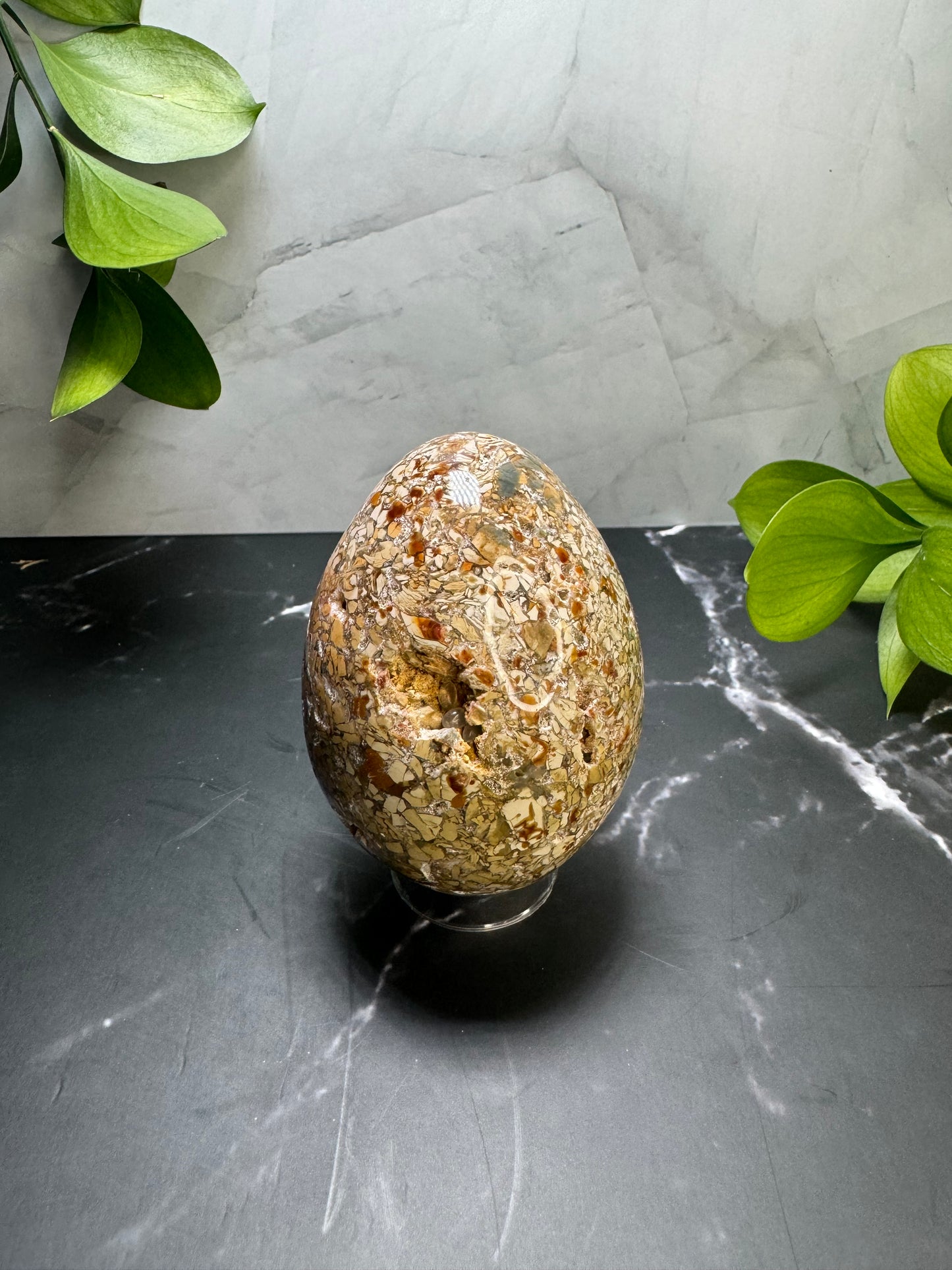 Agatized Jasper Egg 3” | Unique | Crystal Decor | Healing | Gift Crystal Eyes It