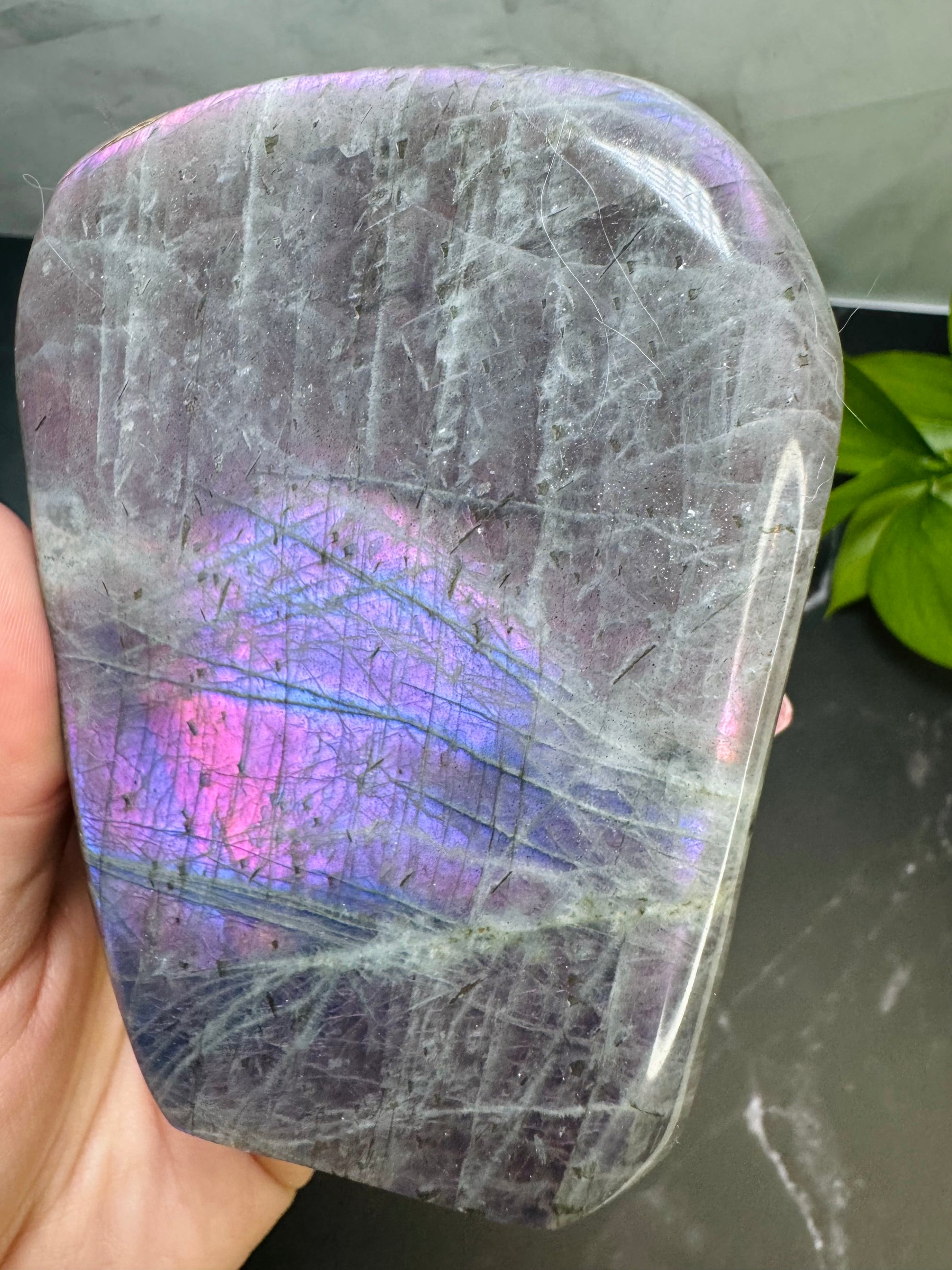 Labradorite Freeform | Purple Pink Blue Flash | Large | Polished | Crystal Decor | Healing | Gift Crystal Eyes It
