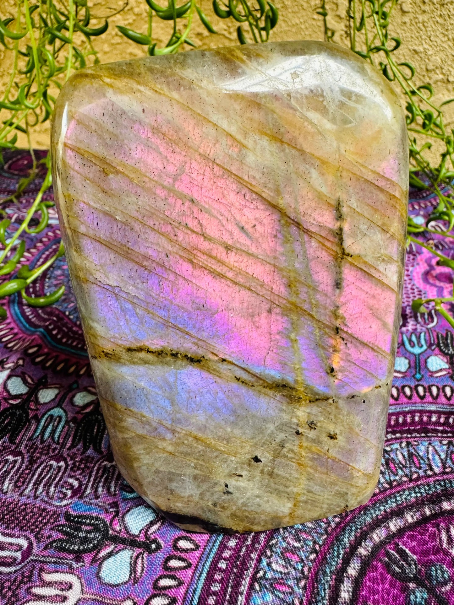 Labradorite Freeform | Purple Pink Flash | Large | Polished | Crystal Decor | Healing | Gift Crystal Eyes It