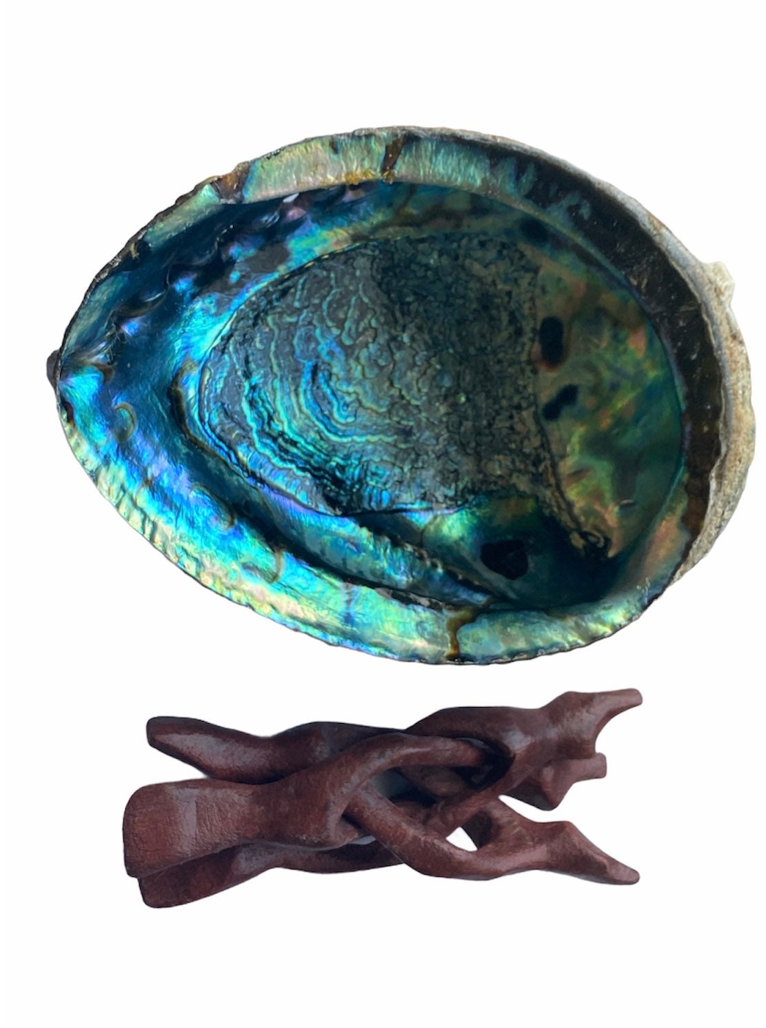 Abalone Shell | Natural Large | 6 inches | Cobra Stand | Sage | Incense | Smudging | Altar | Bowl | Decor | Gift My Store