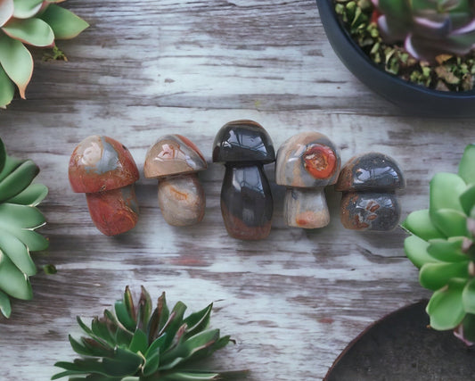 Ocean Stone Mushroom Crystal 2-3” | Crystal Shape | Decor | Gift My Store