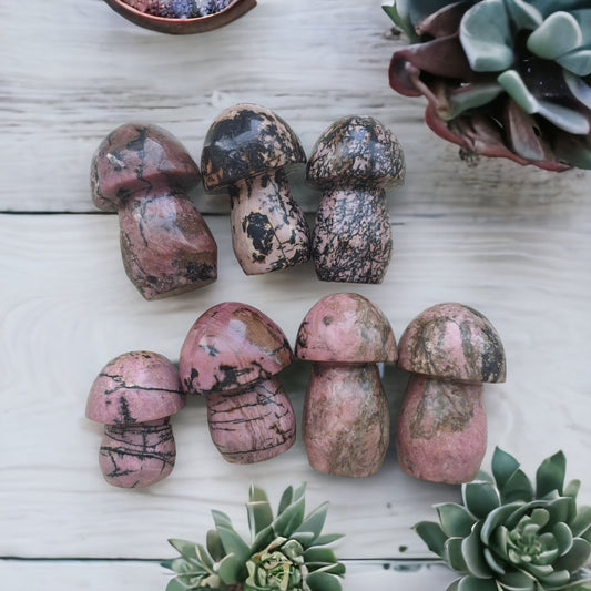 Rhodonite Mushroom Crystal 2-3” | Pink | Black | Crystal Shape | Decor | Gift My Store